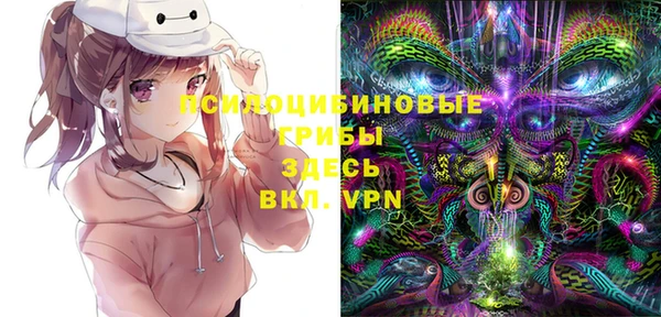 сатива Алексеевка